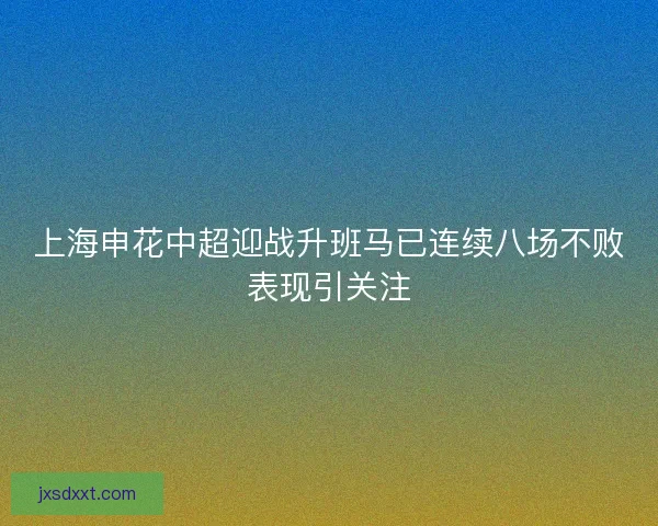 上海申花中超迎战升班马已连续八场不败表现引关注