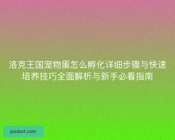 洛克王国宠物蛋怎么孵化详细步骤与快速培养技巧全面解析与新手必看指南